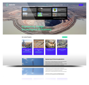 Front page of the Delonix Solutions new website, created by Bloom Digital